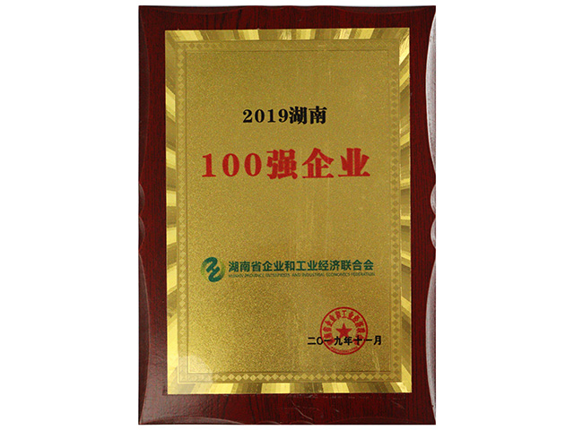 2019湖南100強企業(yè)